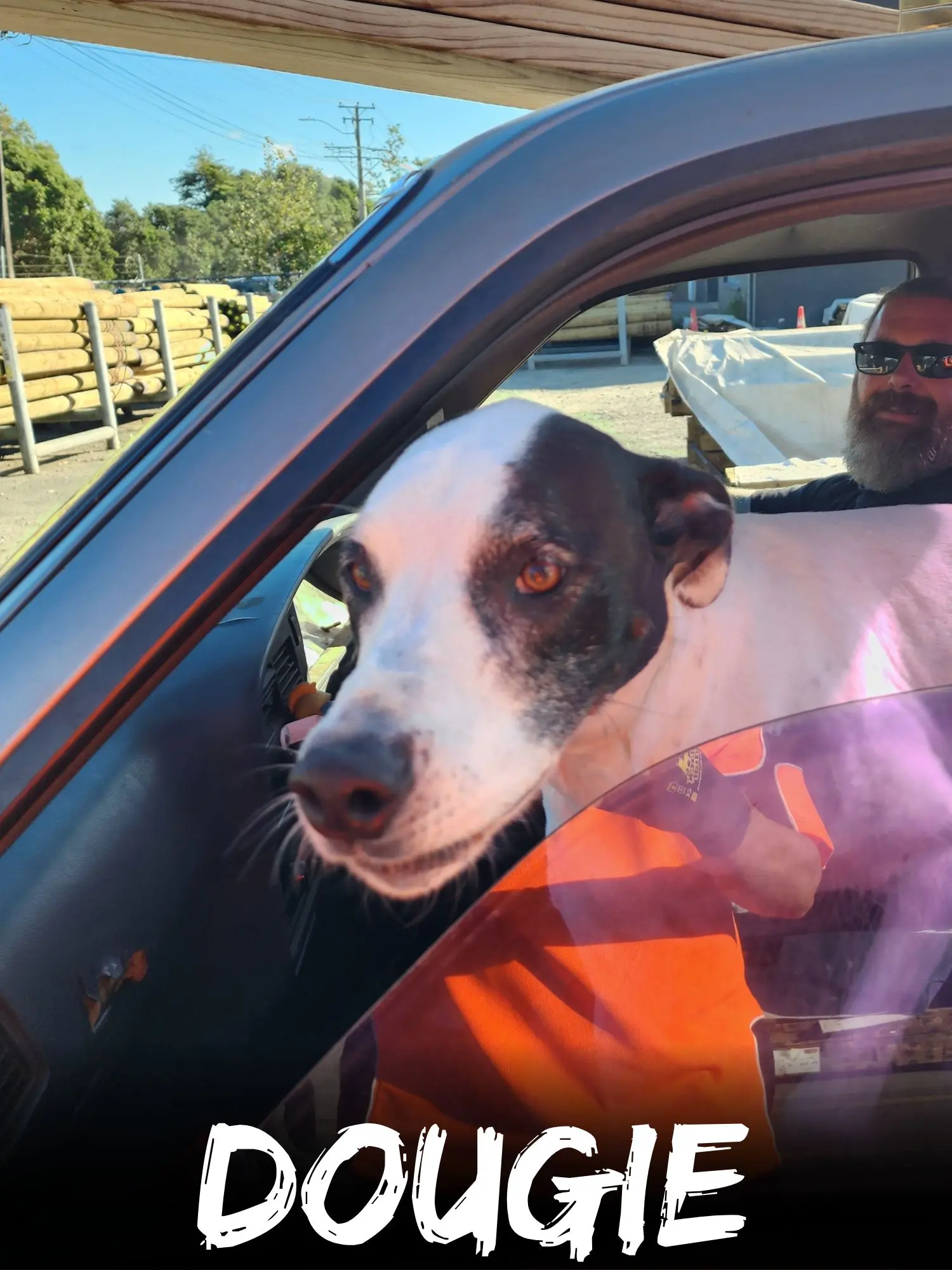 wbs-henderson-furry-friends-