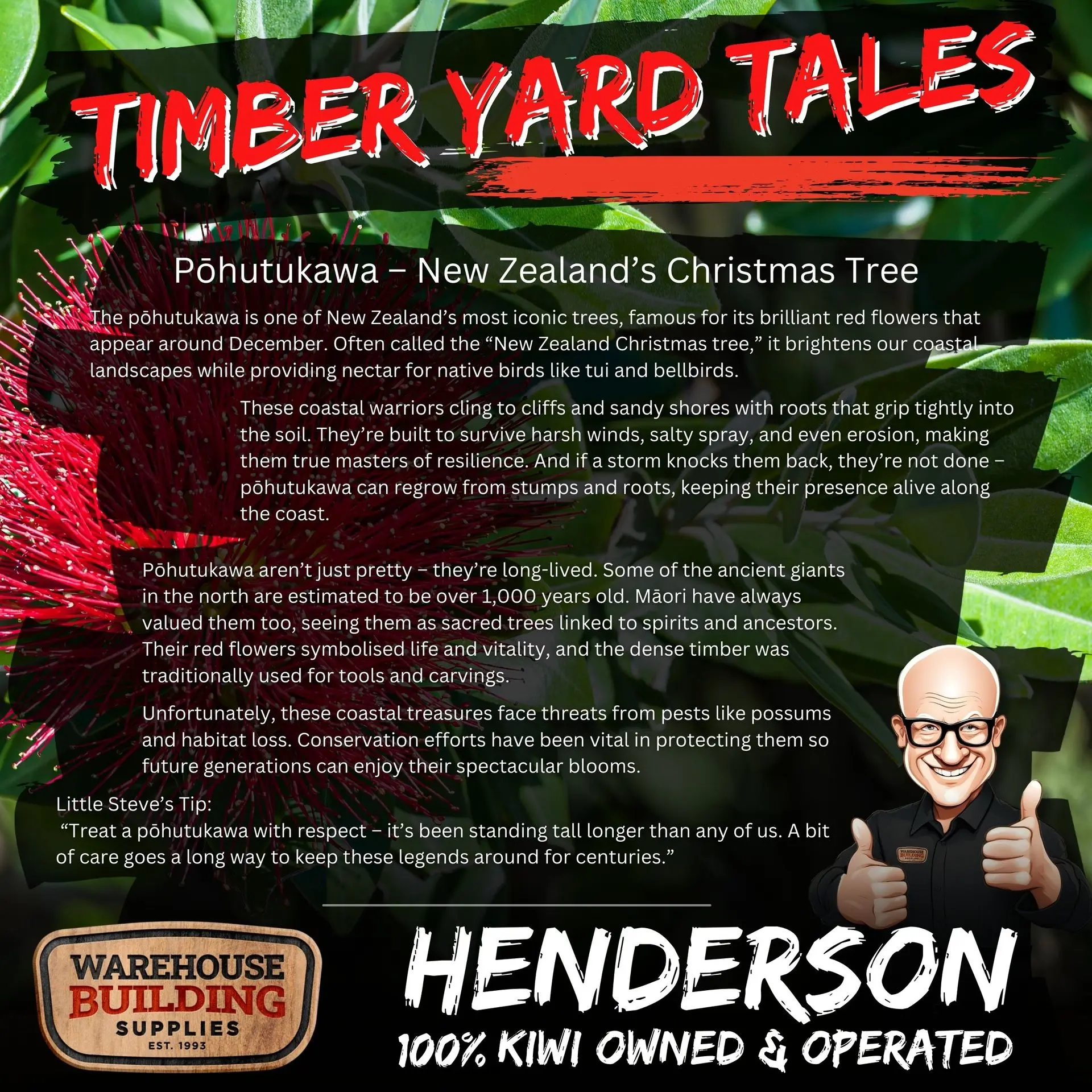 20260316-wbs-henderson-timber-yard-tales-Pōhutukawa