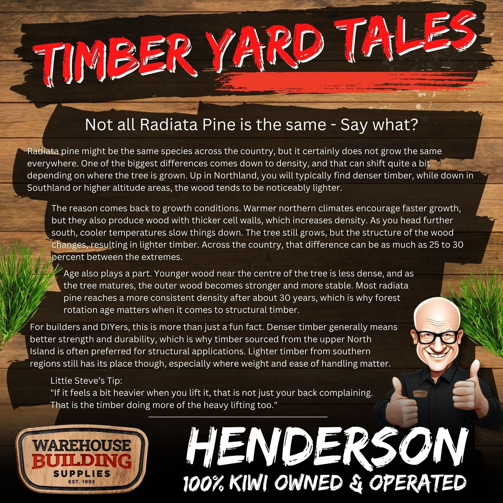 20260413-wbs-henderson-timber-yard-tales-radiata-pine