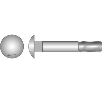 BOLT COACH  M12 x  65mm STAINLESS