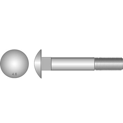 BOLT COACH M8 x 75mm GALV (WITH NUT)