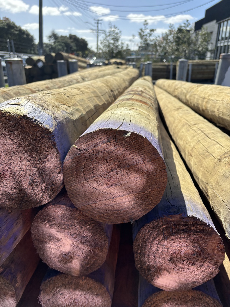 SED H5 Construction and Retaining Wall Poles | 150-174mm x 5.4m