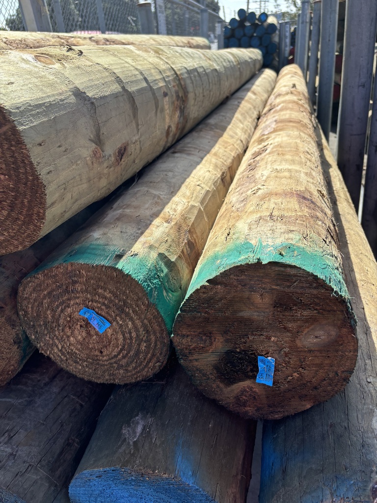 POLE BUILDING H5 SED 200-224 x 6.0M HIGH DENSITY