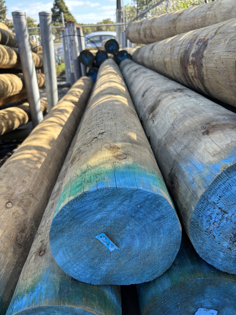 POLE BUILDING H5 SED 300-324 x 4.2M HIGH DENSITY