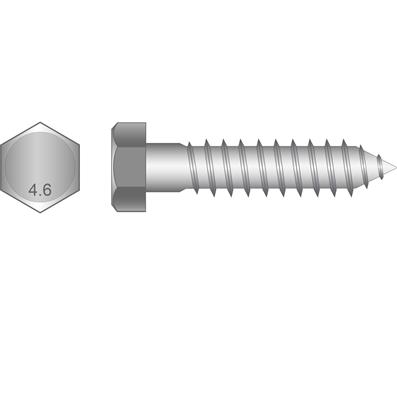COACH SCREW M10 x 120mm GALV