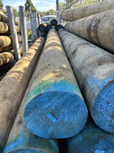 [SED40090] POLE BUILDING H5 SED 400-424 x 9.0M