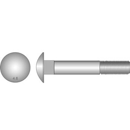 [HEN149] BOLT COACH  M10 x  30mm GALV (WITH NUT)