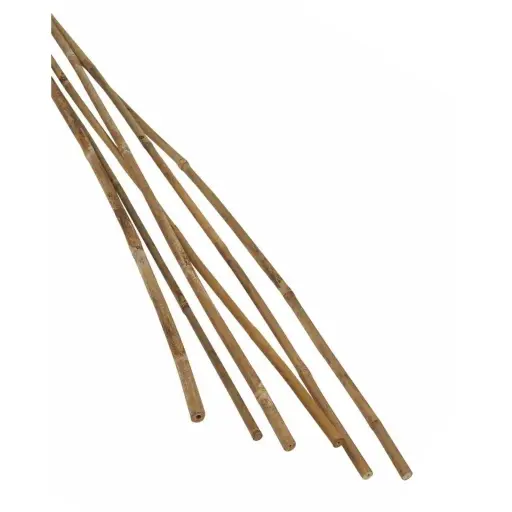 [HSN275] MCGREGORS Bamboo Stakes (VARIOUS lengths)